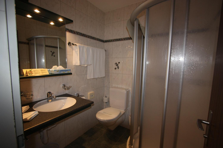 Bathroom 2, Hotel Restaurant Alpina, Interlaken