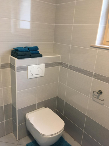 Bathroom 2, Apartment Lapanja, Tolmin