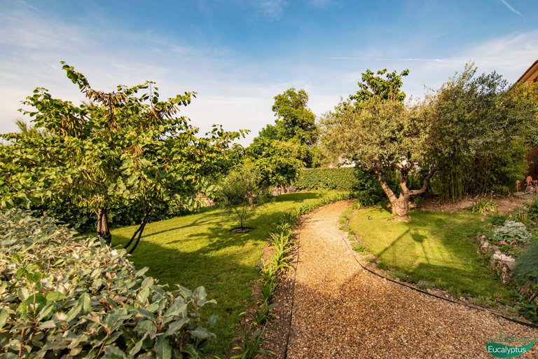 Others 4, Le Clos des Eucalyptus, Var