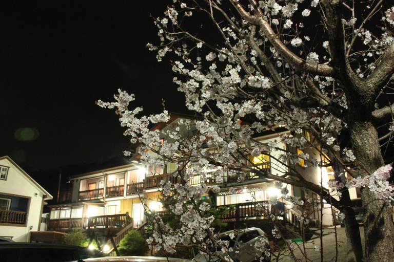 Others 3, Gyeongju Byul Iyagi Pension, Gyeongju