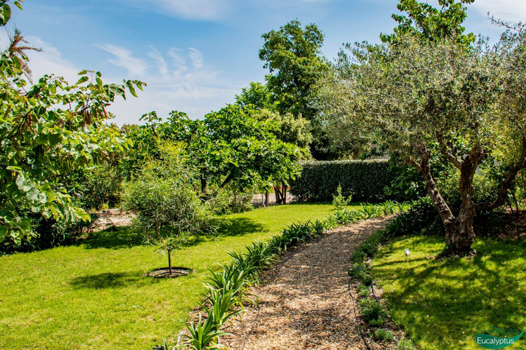 Others 3, Le Clos des Eucalyptus, Var