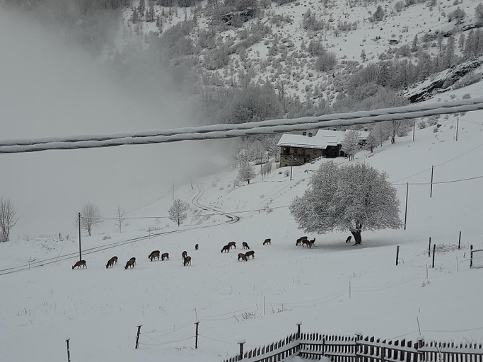 Others 3, Agri-b&b Lou Col, Cuneo