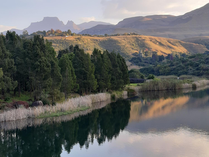 Others 5, Honeysuckle Clarens, Thabo Mofutsanyane
