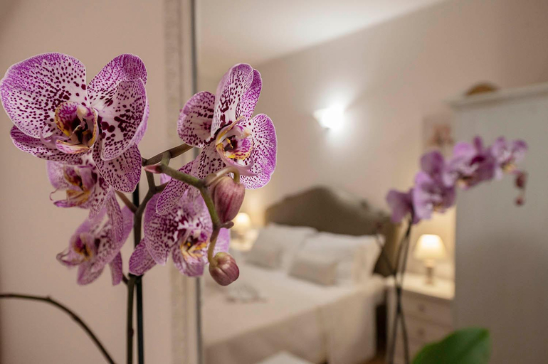 Others 5, B&B Vico d'Ercole, Latina