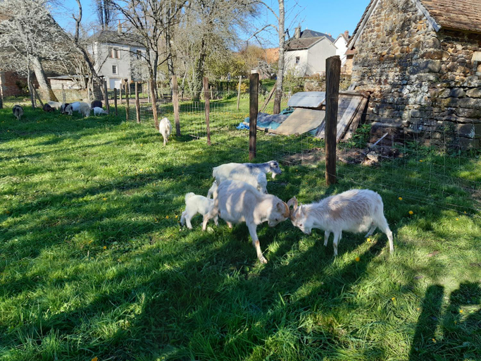 Others 4, La Treille, Yonne