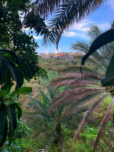 3, Misfah View, Al Hamra