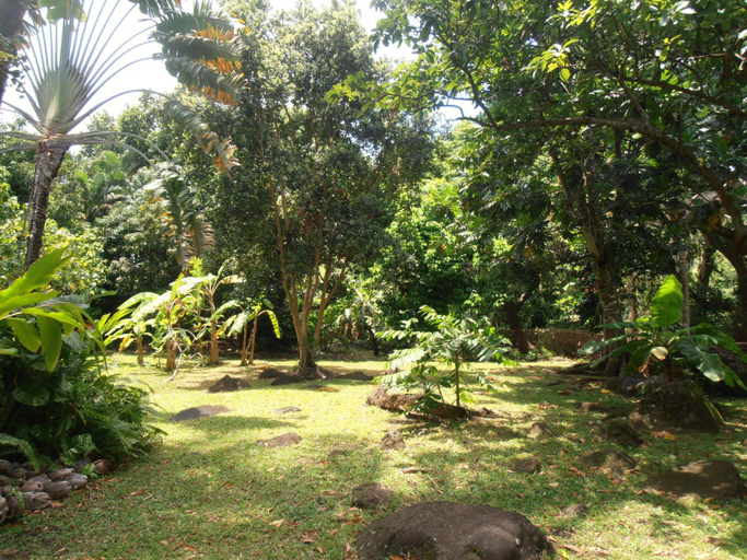 Garden 3, Les Manguiers, Deshaies