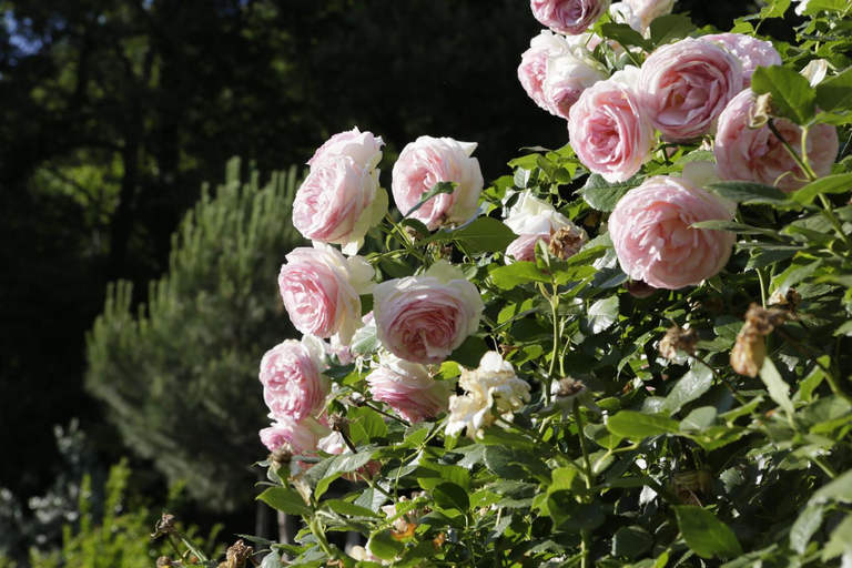 Others 5, BNB Garni Kreithof, Bolzano