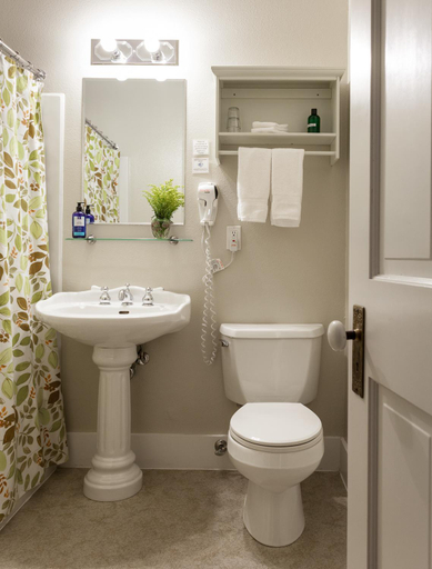 Bathroom 4, Broad Street Inn, Nevada
