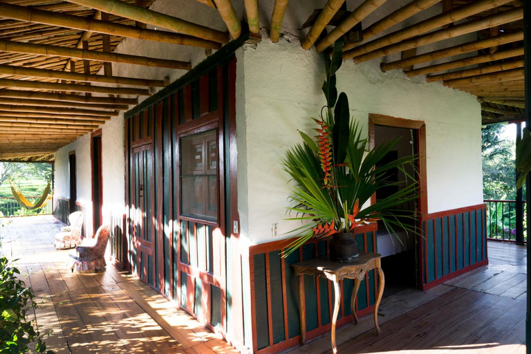 Others 3, Finca La Argelia, Quimbaya