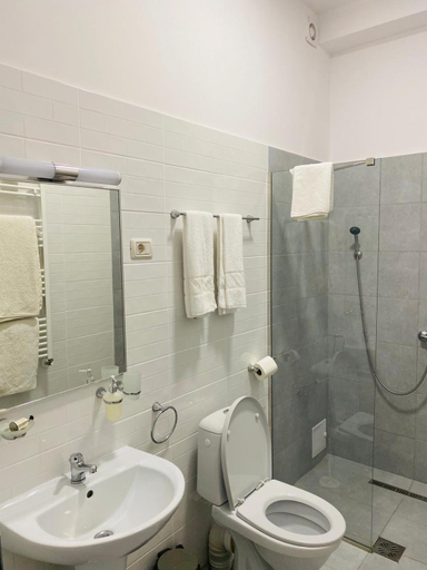 Bathroom 4, Pensiunea Urban Point, Sfantu Gheorghe
