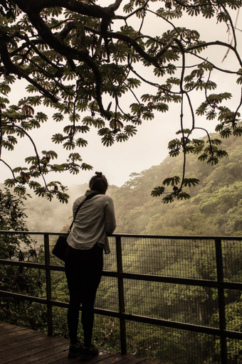 View 5, Monteverde Inn - Valle Escondido Preserve, Puntarenas