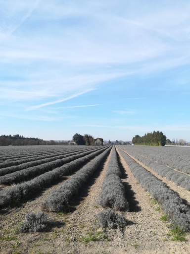 Others 3, Au pays du Ventoux, Vaucluse