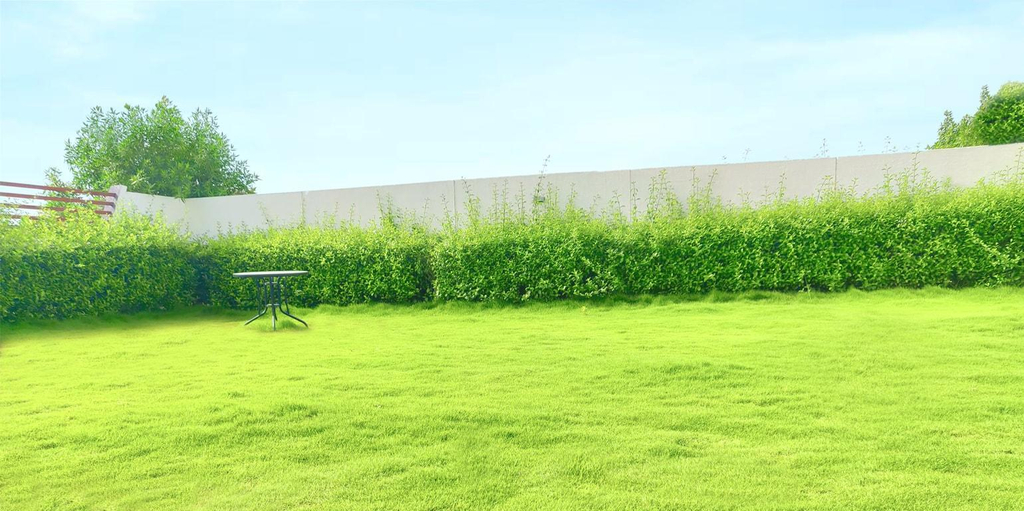 Others 3, Plan your events or functions at Royal villa., Surat