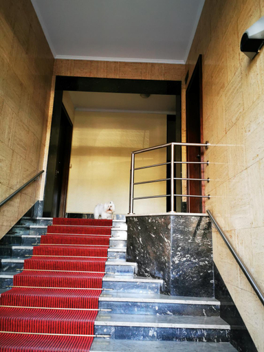 Others 5, MURAT OTTO, Trieste