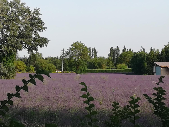 Others 5, Au pays du Ventoux, Vaucluse