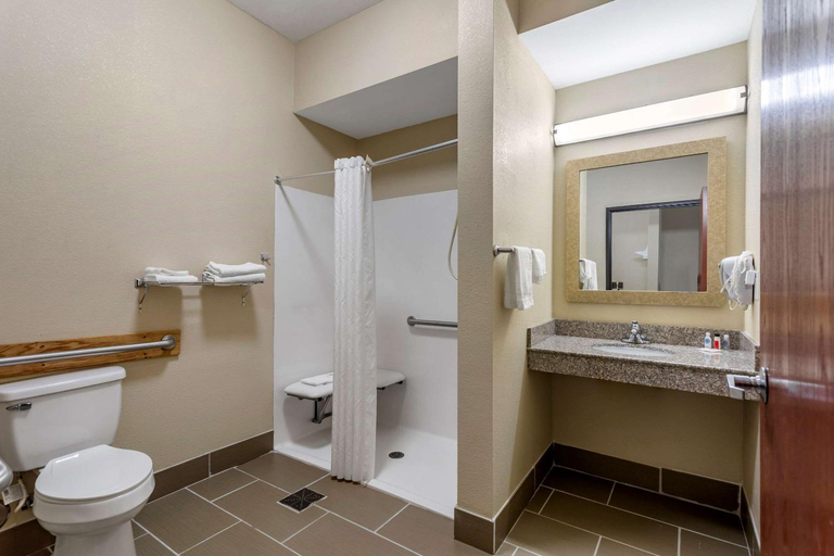 Bathroom 4, Comfort Inn & Suites Carbondale University Area, Jackson