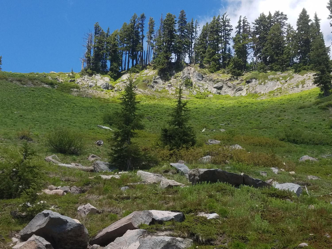 Others 4, Cooper Spur Mountain Resort, Hood River