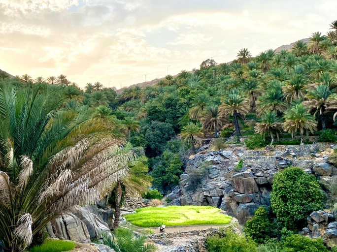 5, Misfah View, Al Hamra