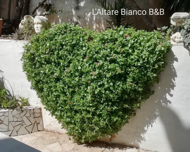 Others 4, B&B L'Altare Bianco, Foggia