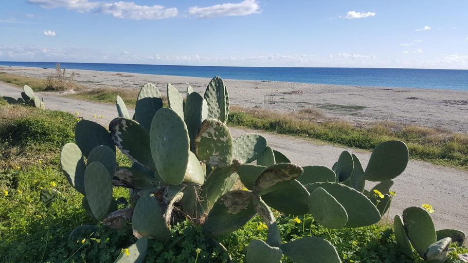 Others 2, Magna Grecia B&B e Appartamenti, Reggio Di Calabria