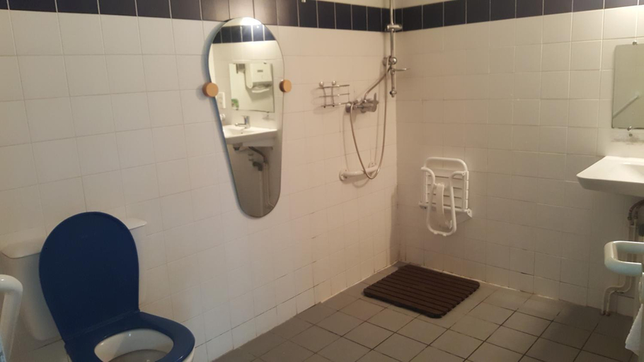 Bathroom 3, HOTEL DE FRANCE, Hautes-Pyrénées