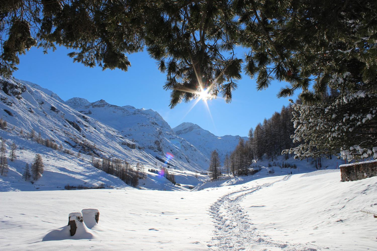 Others 5, Hotel Sonne Fex Alpine Hideaway, Maloja