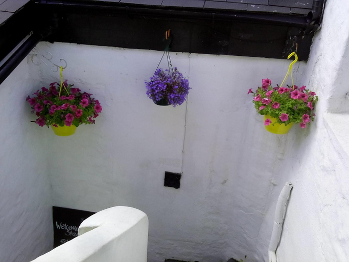 Others 4, Starfish Rooms, Argyll and Bute