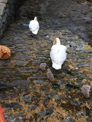 Others 3, Starfish Rooms, Argyll and Bute