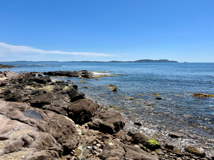 5, Bord de mer aux Pins Penches, Var