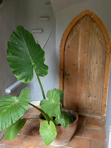 Bathroom 3, Mas carita, Bouches-du-Rhône