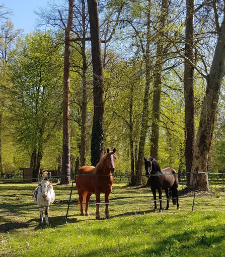Les Sabots du Parc, Oise