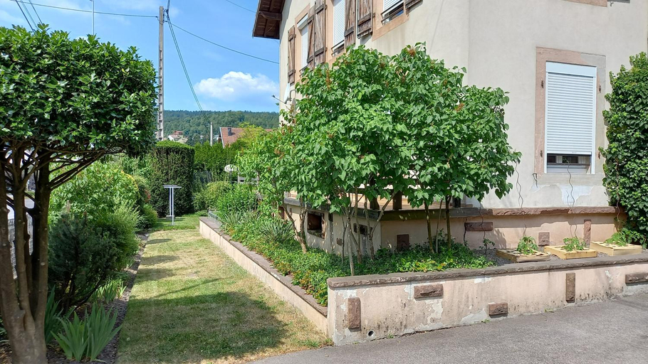Others 4, Studio d'hotes a 10 km de Gerardmer (Le Tholy), Vosges