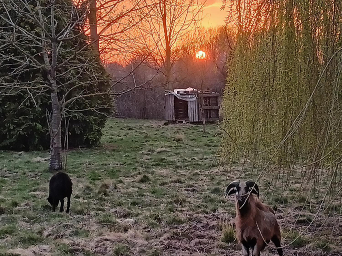 Others 3, Les chambres du Vert Galant "Coucher de soleil", Nord