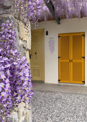 House Wisteria, Miren-Kostanjevica