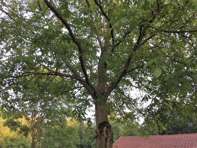 Others 2, B&B Op 't Eikenschoor, Cranendonck