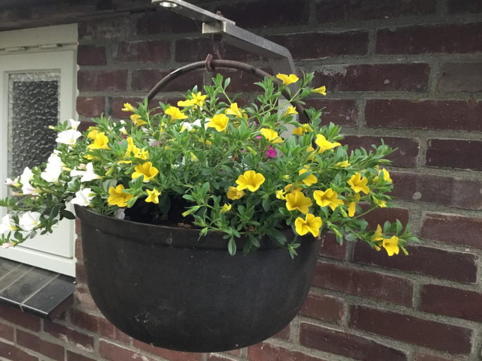 Others 3, B&B Op 't Eikenschoor, Cranendonck
