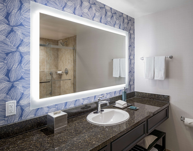 Bathroom 5, Hilton San Antonio Hill Country, Bexar