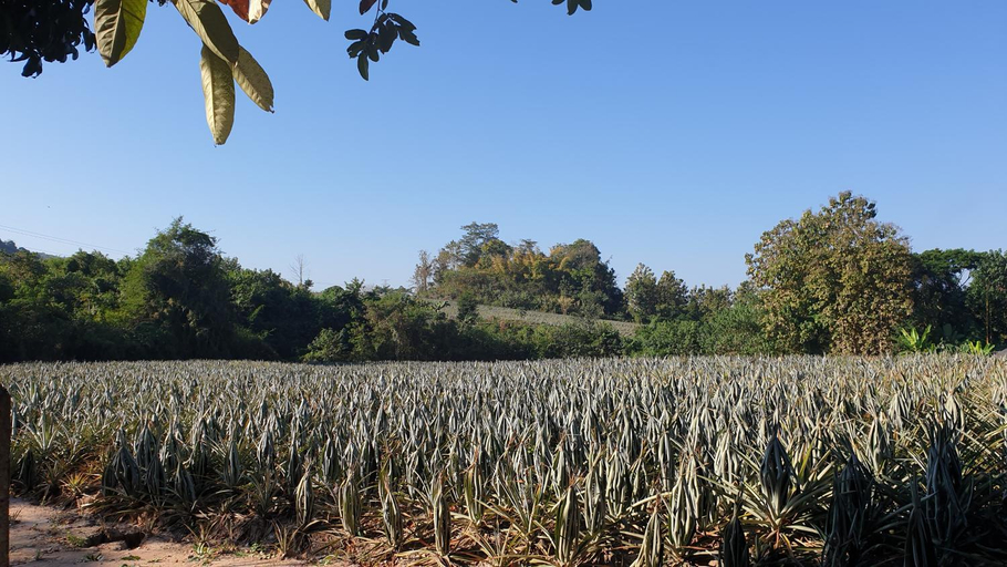 Others 2, Jumka Chalet - Home and Farm Stay, Muang Lampang