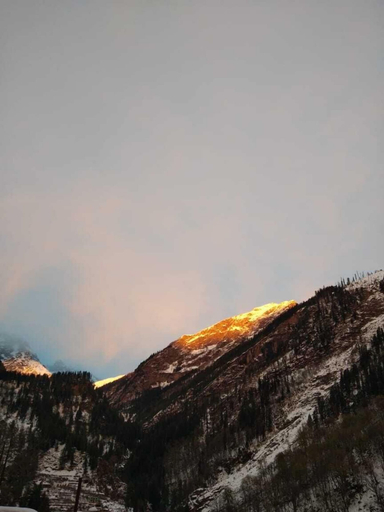 Others 4, Tosh Regency, Kullu