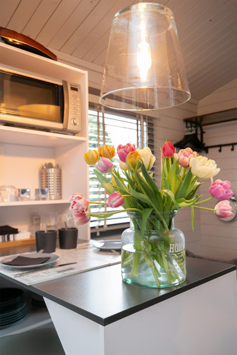 Others 4, Tiny House Boatshed, Heemstede