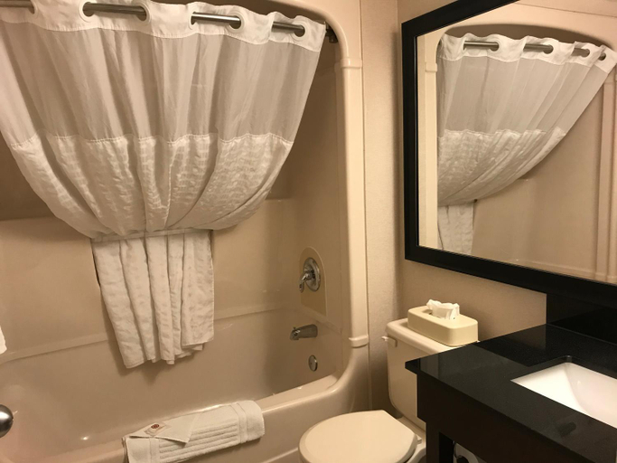 Bathroom 4, Comfort Inn, Brant