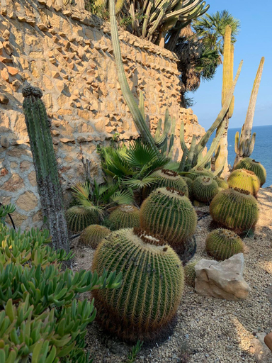 Others 3, El jardin Botanico Villa LUZ, Alicante
