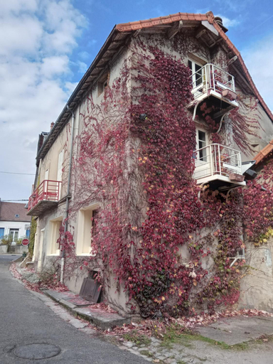 Others 4, chambres d hotes Le labyrinthe du peintre, Allier