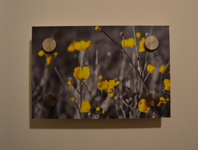Others 2, Albecca, West-Vlaanderen