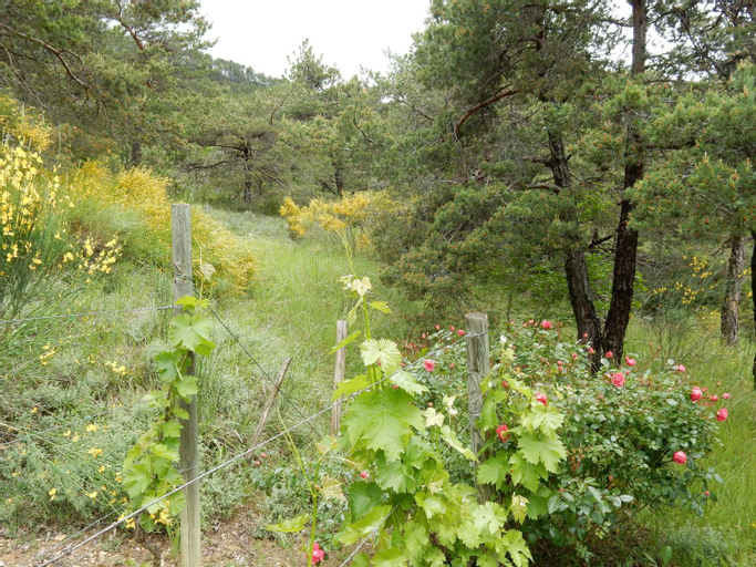 Others 3, House with private pool and beautiful view, Drôme
