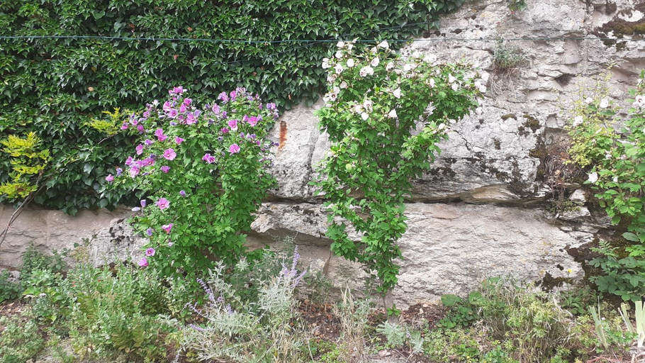 Others 5, Gite des Belles Fontaines, Yonne