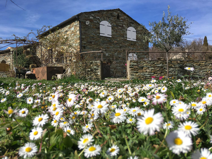 Others 3, Chambres d'hotes et studios de charme - A Mandria, Haute-Corse