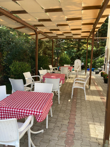 Food & Drinks 5, Family Tree -Water available - SELF check in 24-7, Kavajës