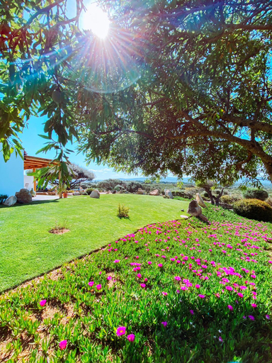 Others 5, B&B Anastasia, Olbia-Tempio